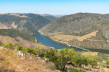 Fototapeta na wymiar Douro Valley, Portugal. Top view of river, and the vineyards are on a hills.