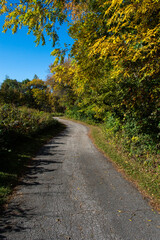 Fototapeta na wymiar An empty autumn bike trail awaits visitors.