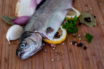 fresh raw trout  with herbs and spices 