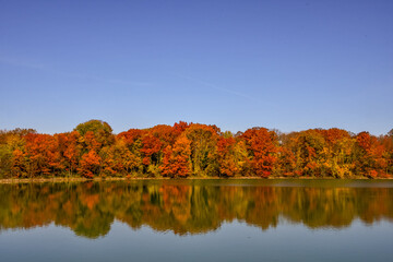 Fototapeta premium Pond with Autumn Trees and blue sky
