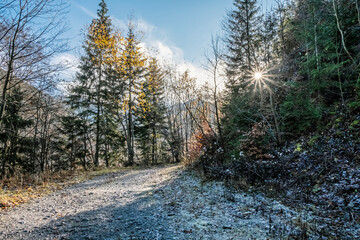Sunrays scene in autumn forest, Big Fatra mountains, Slovakia