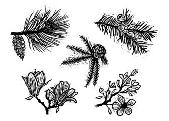 Linocut stamps of trees, sakura, magnolia, thousand berry, pine, cypress, ginkgo, linden 