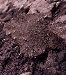 red soil texture