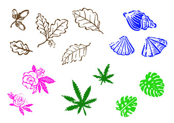 Linocut stamps of oak leaves, shells, roses, marijuana, monsters.
