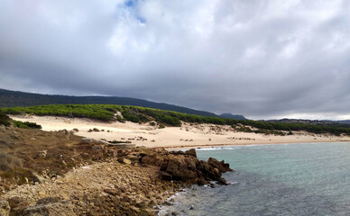 Seascape in the Beach of Bolonia. View of the dunes and pine forest. Tarifa. Spain. 