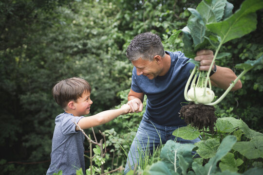 Smiling man holding kohlrabi while giving fist bump to son in garden