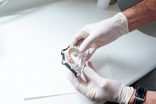 Male doctor holding while examining denture on table at clinic