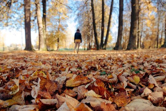 Woman Walking In Public Park On Sunny Day