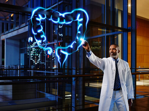 Male gastroenterologist analyzing large intestine in laboratory at hospital