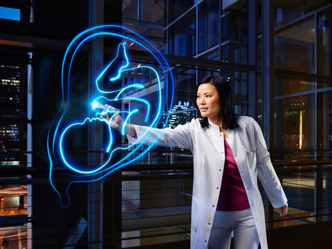Female gynecologist examining uterus in laboratory at hospital