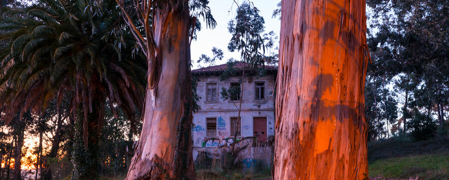 Old Sanatorio, Pedrosa Island, Bay of Santander,Cantabria, Spain, Europe