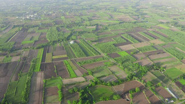 Aerial view of Agriculture Farm Land