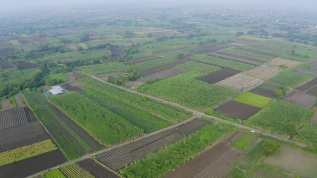 Aerial view of Agriculture Farm Land