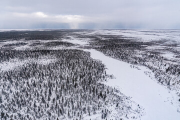 Boreal forest landscape of northern Manitoba, outside of Churchill in northern tundra, arctic country on the shores of Hudson Bay. Aerial, birds eye view from helicopter. 