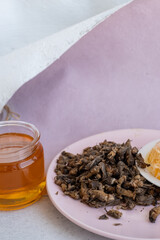 Tuberculosis. folk remedy for treatment of tuberculosis a mole cricket mixed with honey.