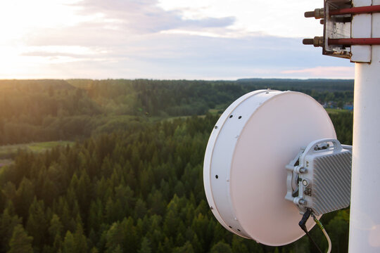 Cellular microwave system. Wireless directional communication antenna of radio relay link based on telecommunication tower metal construction. Pine tree forest and cloudy sky background.