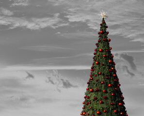 Big Christmas tree with a silver background, Braga, Portugal.
