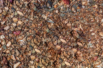 Assorted spices on dark black background. Seasonings for food. Curry, paprika, pepper, cardamom, anise, cloves, bay leaf, turmeric. Top view. Close-up. Spices concept. Spices ingredients for cooking