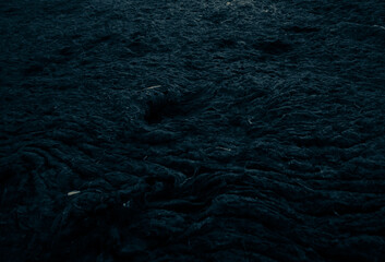 Black and white seaweed textured background. Dried algaes on a shore. © Taras Shchetinin