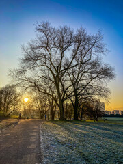 Obraz premium sunrise in the park