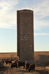 Farm silo on Kansas prairie