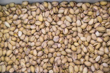 Pistachio nuts are white light brown with open shells. Fruits nuts vegetables berries useful products agriculture.