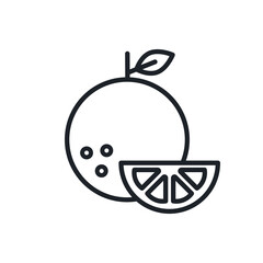 Orange icon. Vector linear icon, contour, shape, outline isolated on a white background. Thin line. Modern minimalistic design. Fruits.
