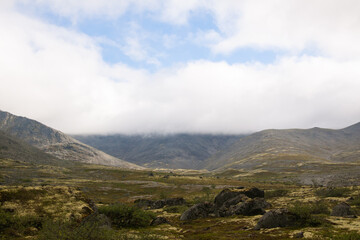 Fototapeta premium Scenic view of tundra in summertime with mountains background and cloudy sky. Khibiny mountains, Kola Peninsula, Russia.
