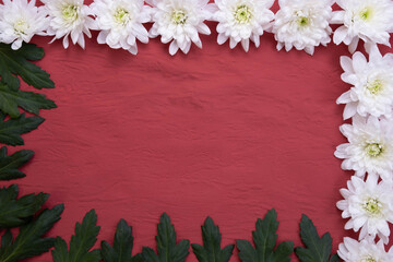 Obraz premium white chrysanthemum buds and leaves in the form of a frame on a table