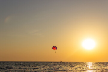 Siluet people flying on a parachute  in the evening sky.    Colourful sunset over the sea..