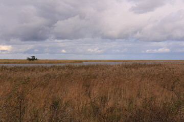 Blick auf die Dünenlandschaft des Ostseebades Prerow in Mecklenburg-Vorpommern