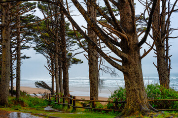 Rain falls at Lookout Beach on the Oregon Coast