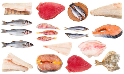 collection of frozen raw fishes (codfish, salmon, zander, pike-perch, sturgeon, tuna, seabass,...