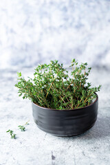 Raw fresh thyme leaves