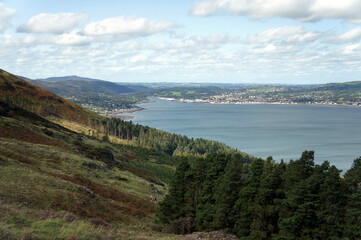 Fototapeta premium On the shore of Carlingford Bay.Irish Sea.Ireland. 