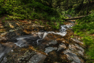 Fototapeta na wymiar Small waterfall on Divoky creek near Kouty nad Desnou village in summer day