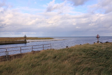 Blick auf die Dünenlandschaft des Ostseebades Prerow in Mecklenburg-Vorpommern