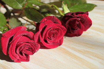 A bouquet of red roses lies on a light wooden surface.	