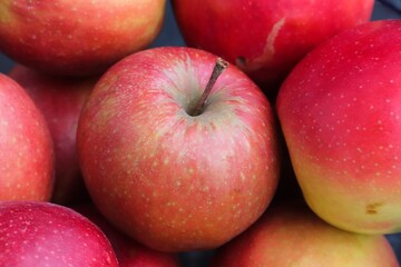 Fototapeta na wymiar reife rote Äpfel