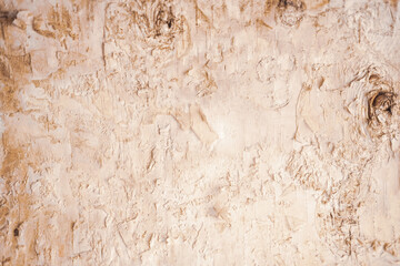 wood texture birch bark. natural background. top view. 