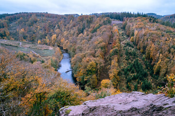 Top view on a colorful autumn forest