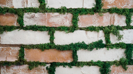 Brick, cobblestone road / wall.