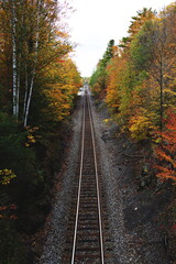 Fototapeta na wymiar Railroad tracks leading through a forest filled with the changing colors of Autumn in Ontario, Canada.