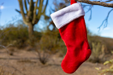 Red stocking hanging in the desert in front of a saguaro cactus.