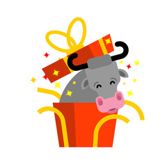 Bull out of box gift. Cow in gift box. New year illustration