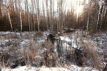 winter forest landscape covered with snow, december christmas nature white background