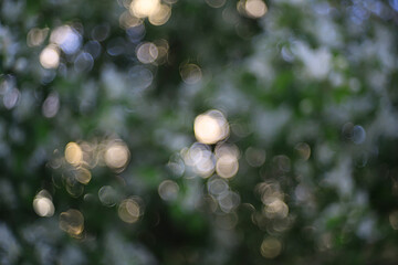 spring bokeh abstract blurred background, sun glare background