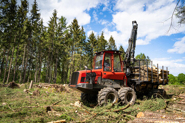 Waldsterben - Borkenkäfer, moderner Vorwarder räumt Totholz aus einem Fichtenbestand, forstwirtschaftliches Symbolfoto.