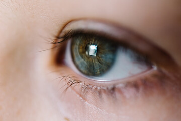 Close up of a hazel green human eye