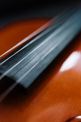 Shallow selective focus of violin fingerboard